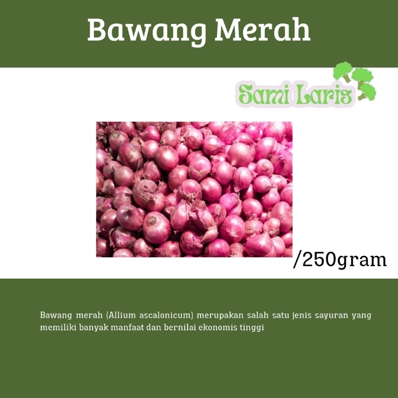

Bawang Merah