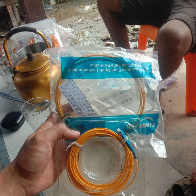 pathcore kepala hijau/biru