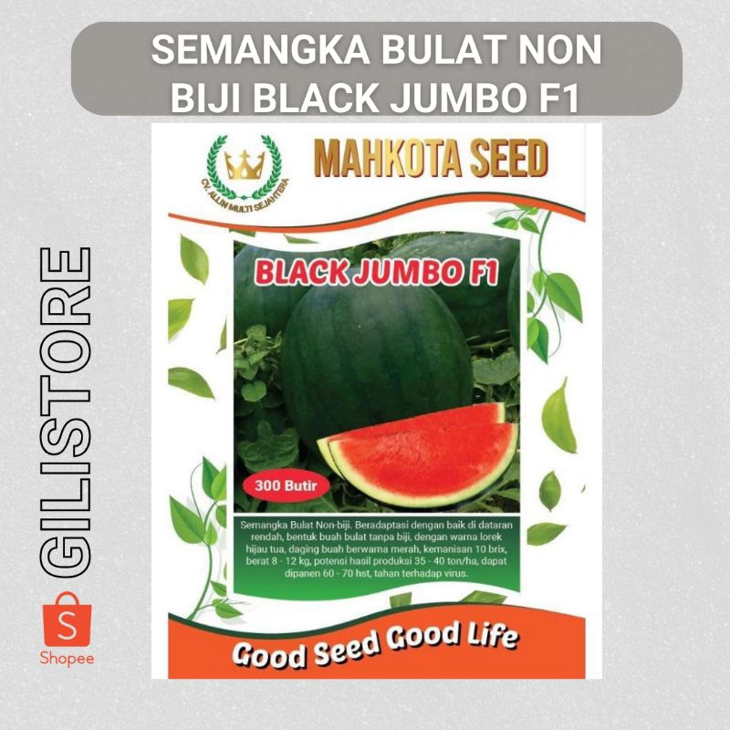 Semangka bulat non biji black jumbo f1