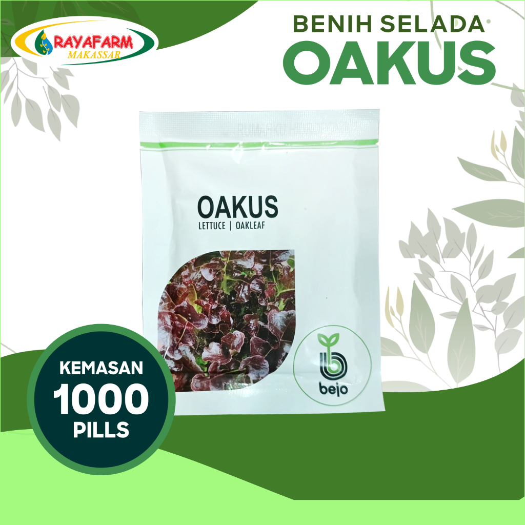 Benih Bibit Selada Merah Oakus 1000 pills - Bejo Seed