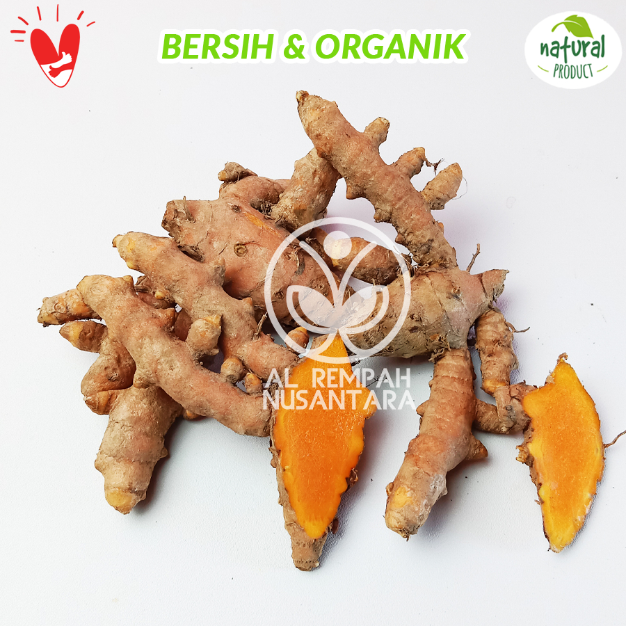 

Kunir 250gr atau Kunyit Segar Organik - Asli Gunung