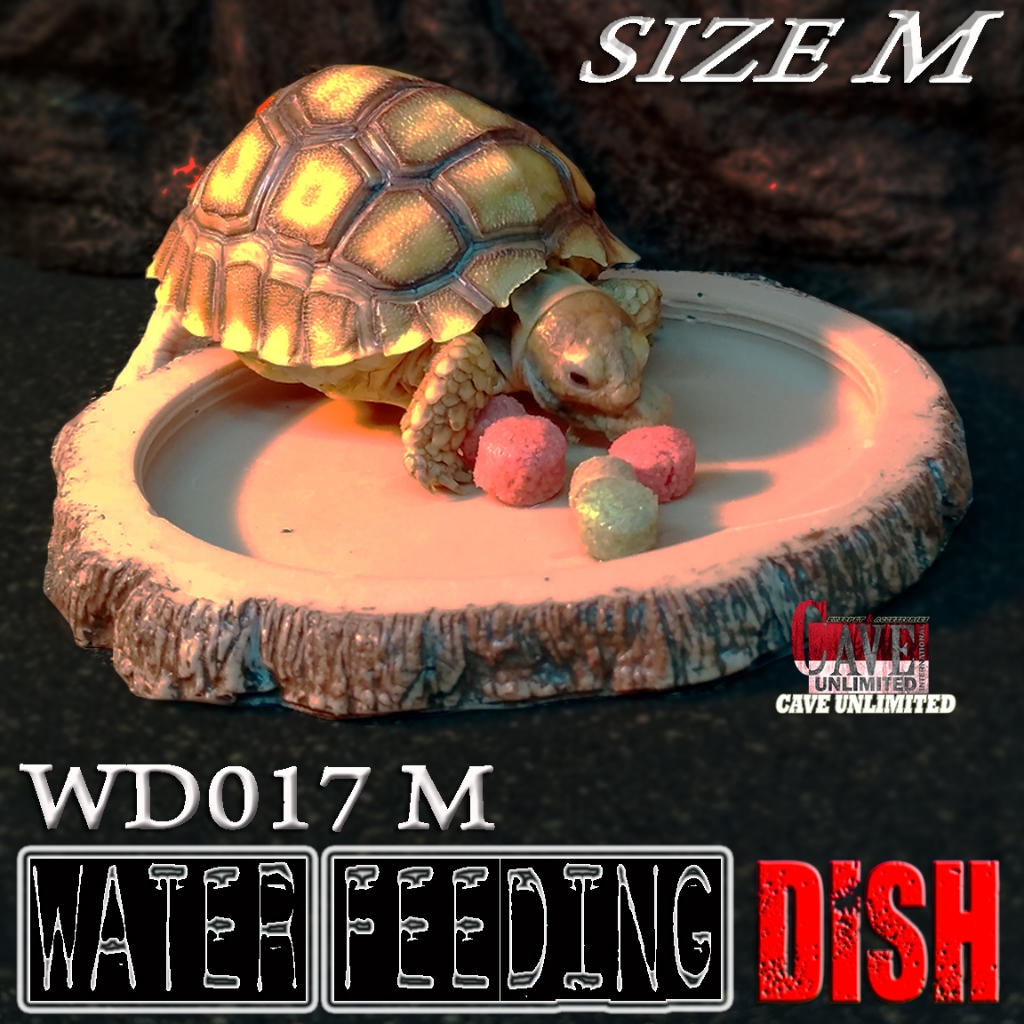 WD017 FEEDING DISH FOODISH TEMPAT MAKAN TORTOISE PARDALIS ALDABRA CHERRYHEAD WADAH PAKAN REPTILE YNI