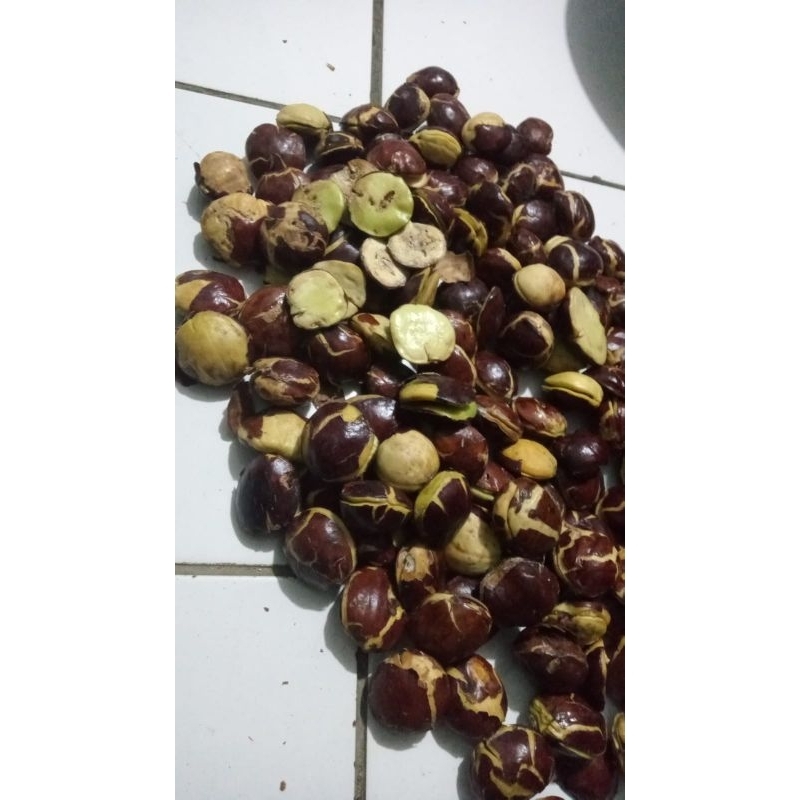 

jengkol super a1 1kg