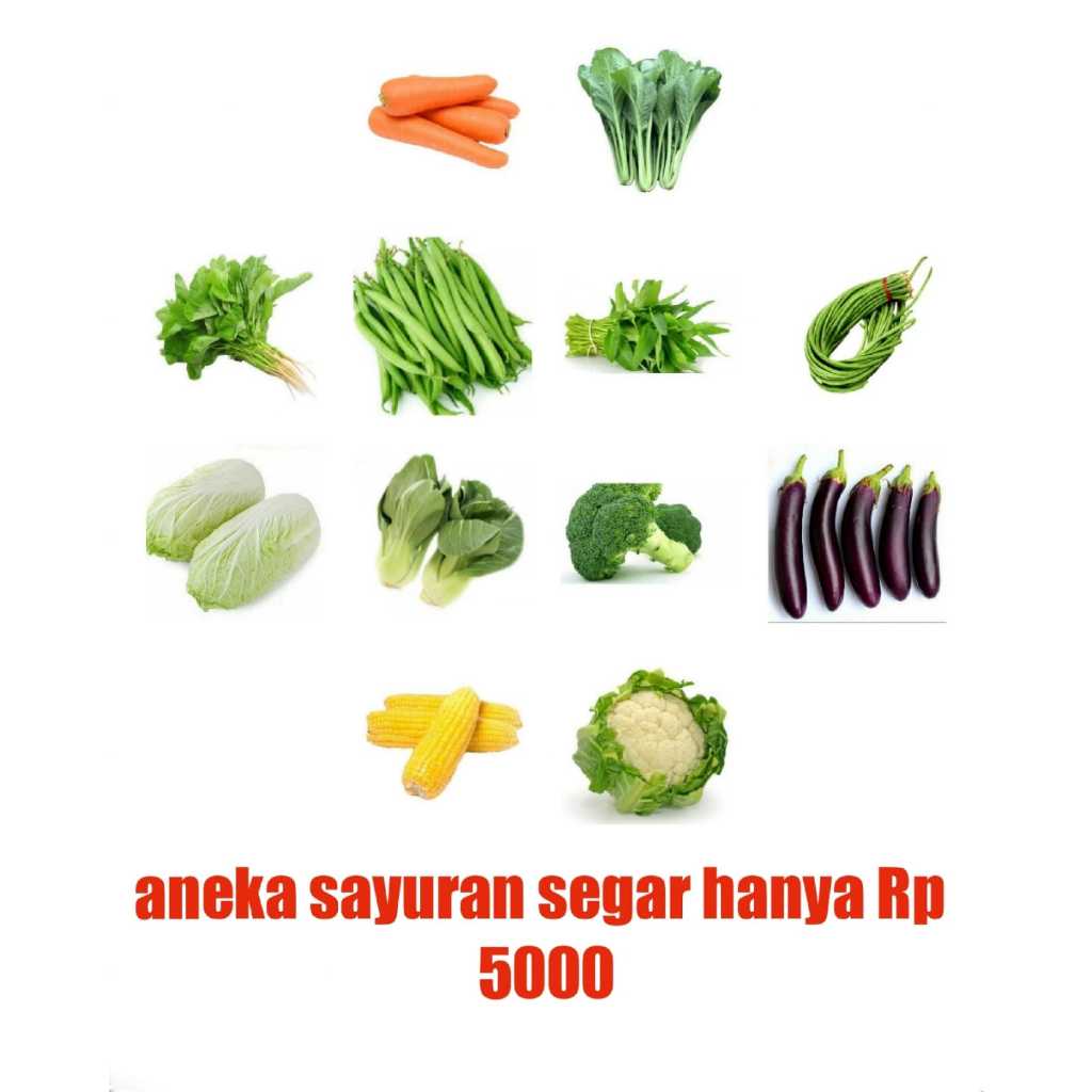 

aneka sayuran segar / sayur segar / sayur fresh / wortel / kangkung / bayam / baby jagung / buncis / kembang kol / brokoli / kacang panjang