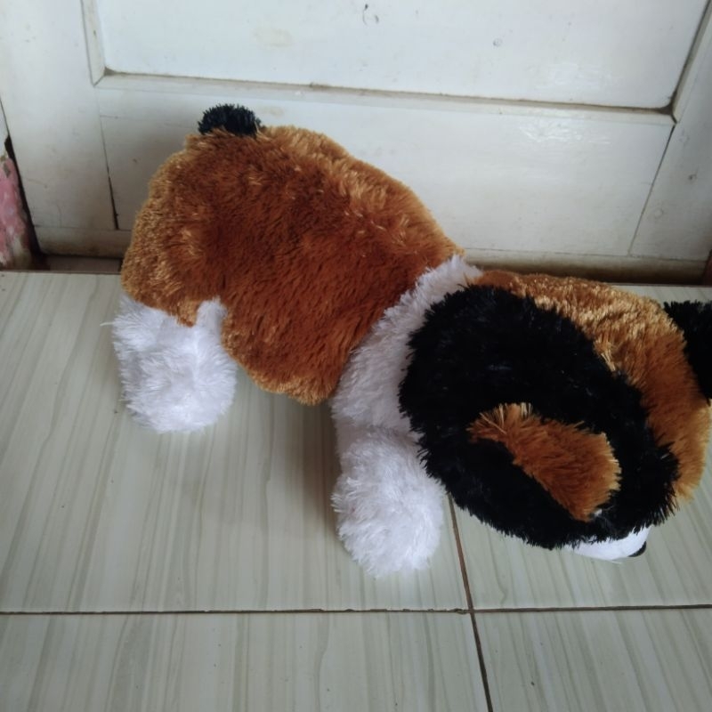 BONEKA KUCING BELANG ANGORA PERSIA HARIMAU SINGA MACAN BINATANG KARAKTER EDUKASI ANAK BAHAN RASFUR L