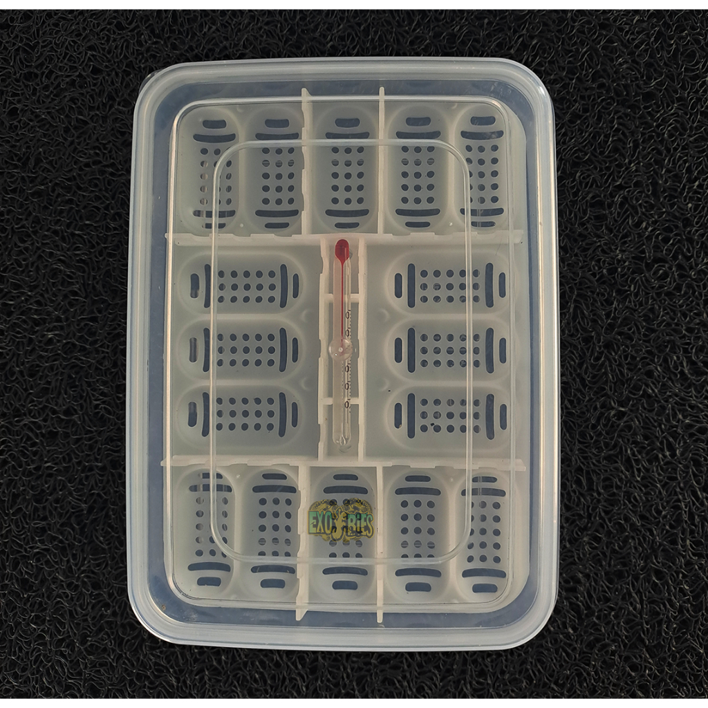 Ay00 Incubator Telur Reptile Kapasitas 16 Butir inkubator Telur Reptil Incubator Telur Gecko