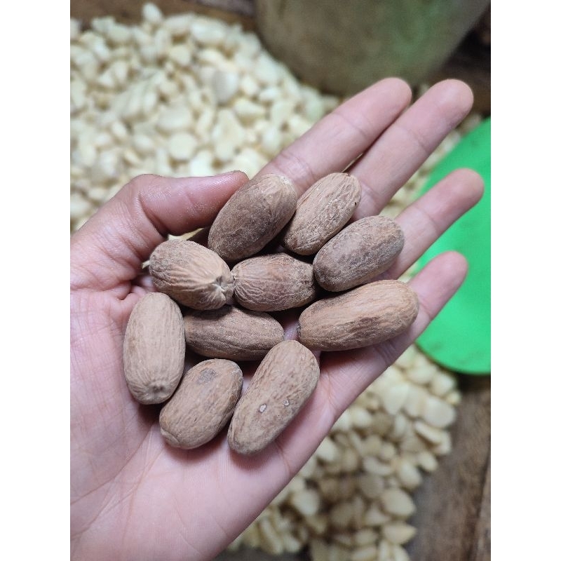 

Buah Pala/Pala lonjong/Polo