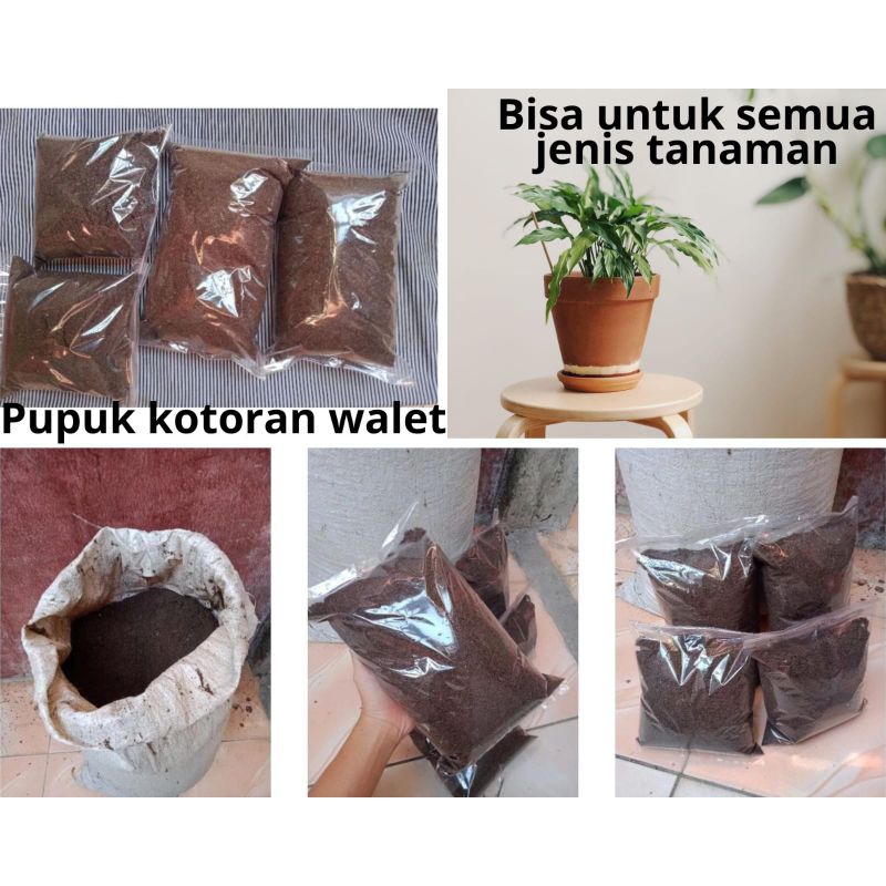 GUANO/Kotoran Burung Walet