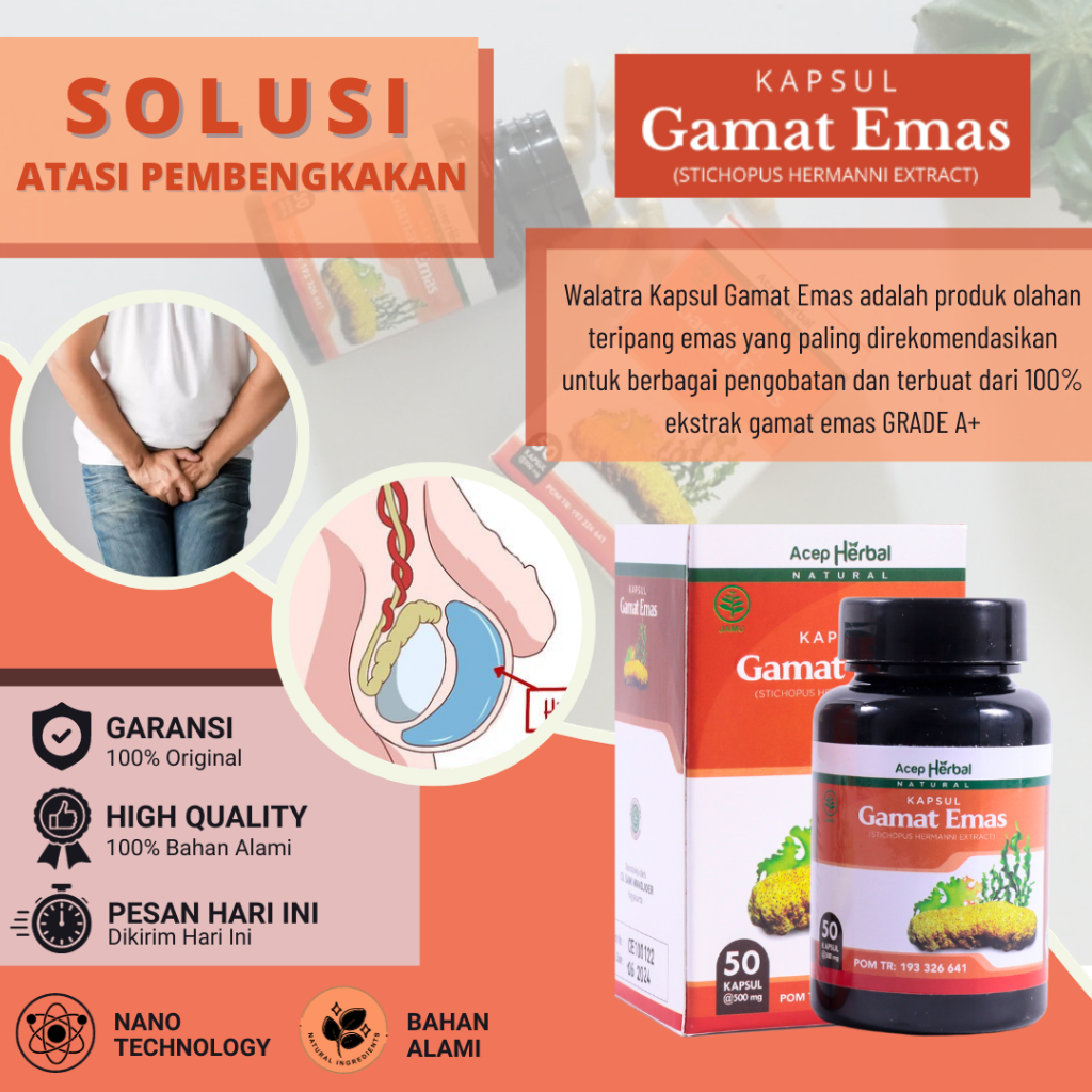 Obat Hidrokel, Obat Hidrokel Buah Zakar Bengkak, Obat Nyeri Testis, Obat Varikokel, Obat Testis Beng