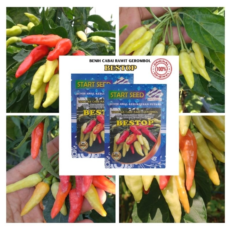 BESTOP, benih cabai rawit gerombol original(10 gram)