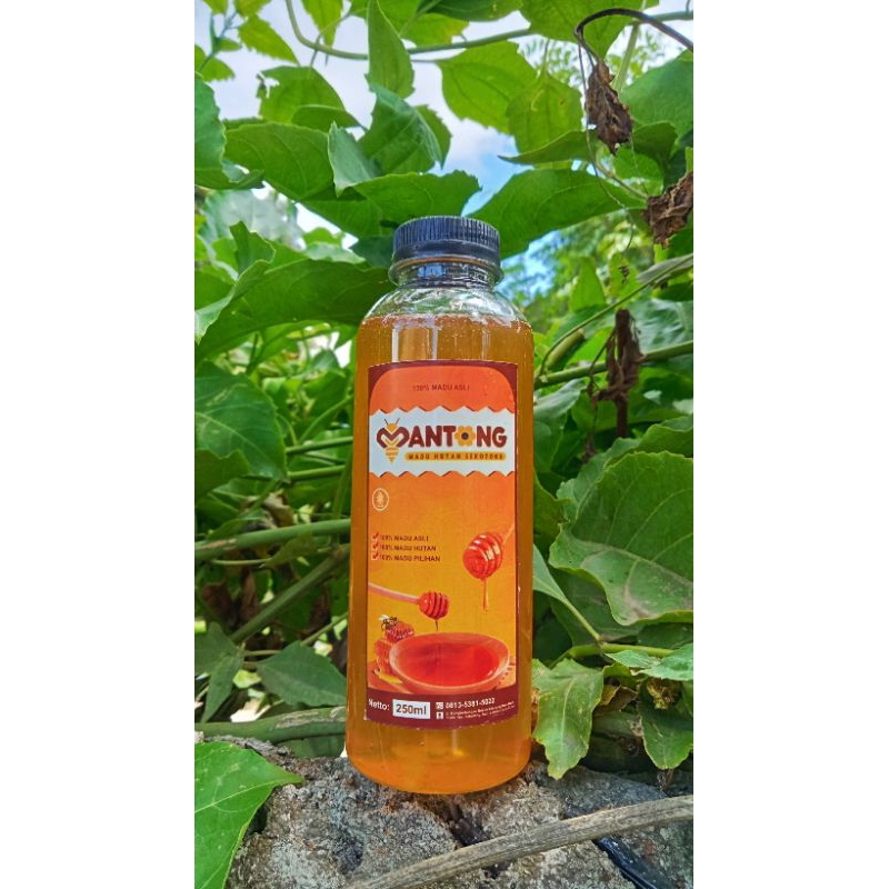 

MANTONG (Madu Hutan Sekotong)