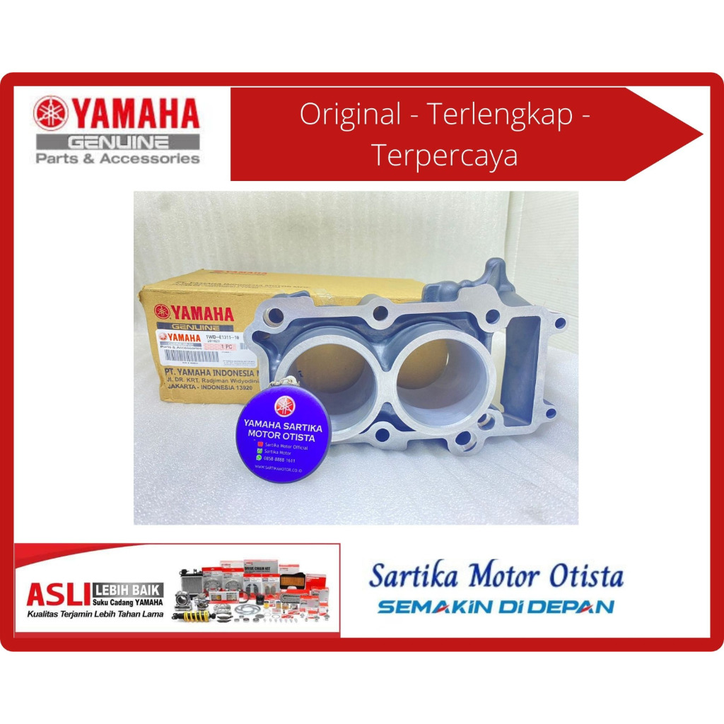 Original Cylinder / Blok Seher Yamaha R25