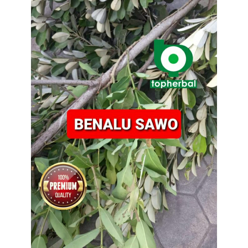 

Benalu Sawo Segar/Fresh 1 KG