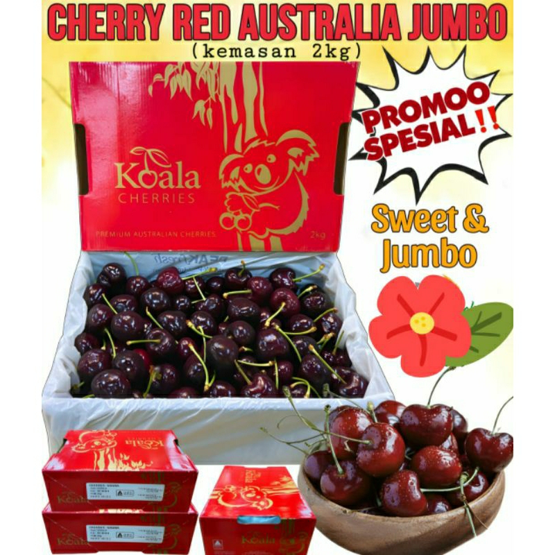 

cherry red australia koala jumbo