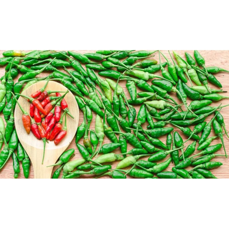 

Cabai Rawit Murah Segar