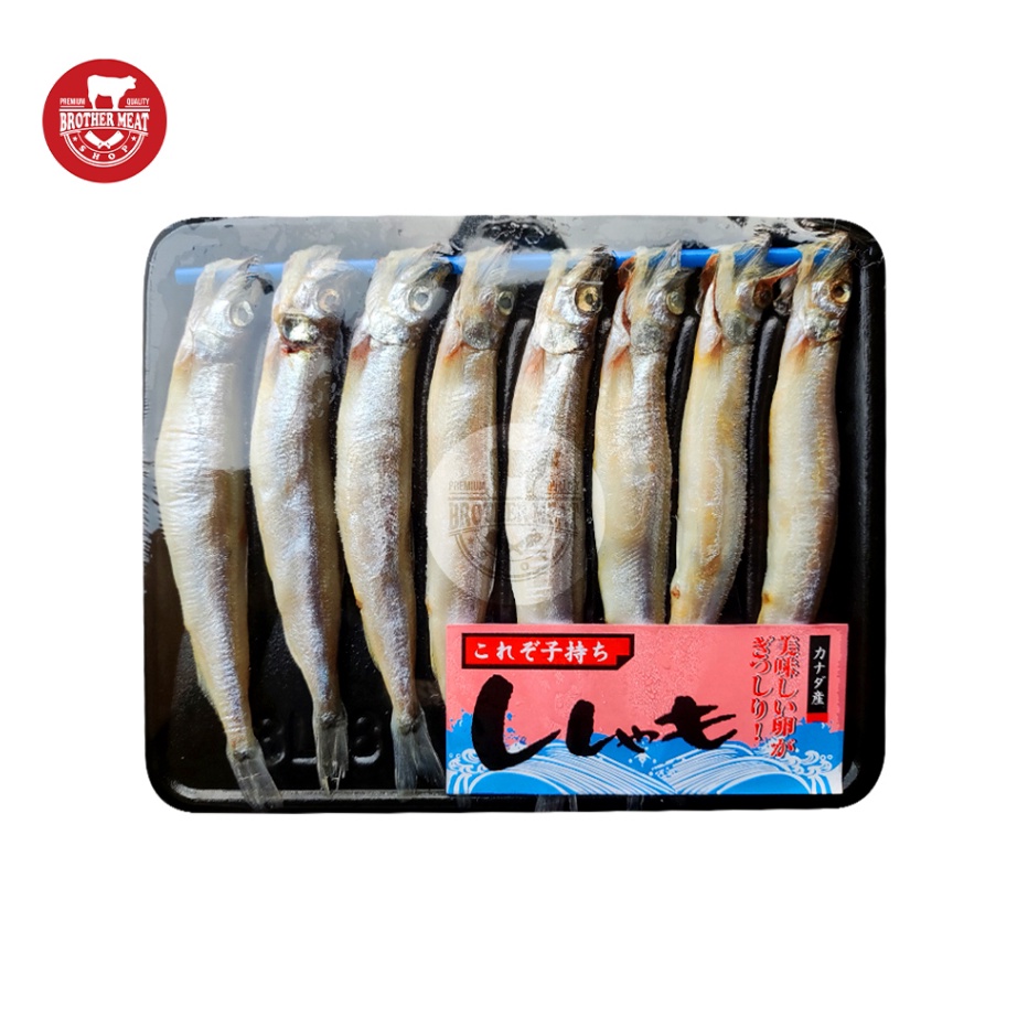 

STOK SIAP COD Shisamo Fish Ikan Capelin 1619gr