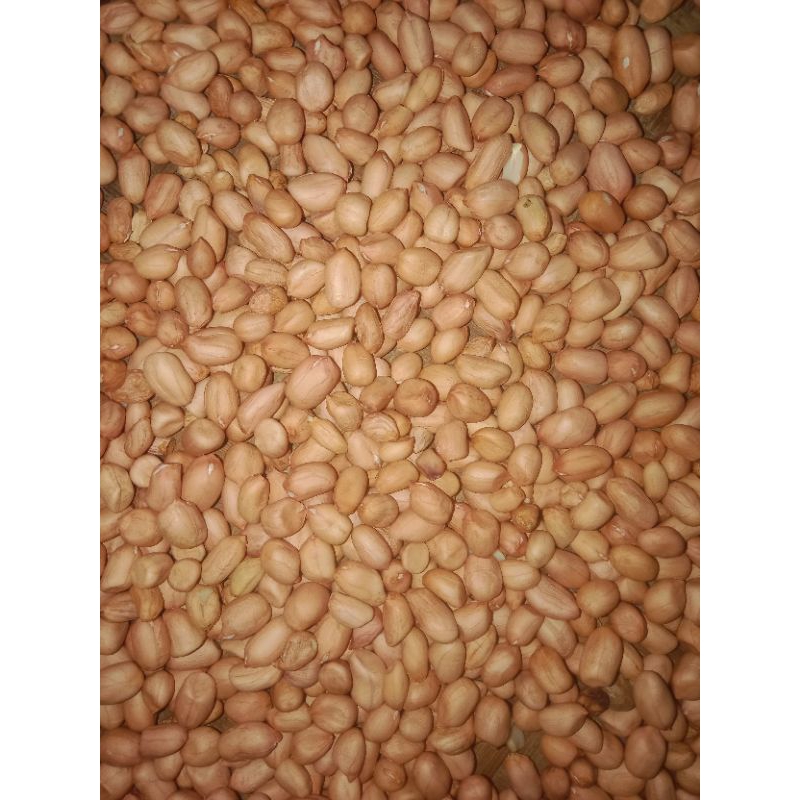 Kacang Tanah 1kg