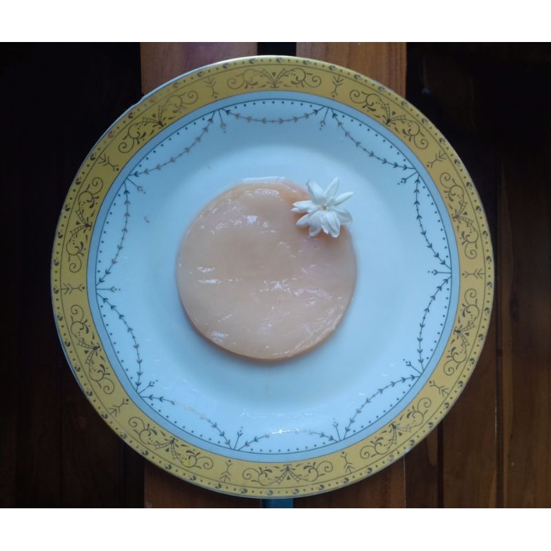 Bibit Kombucha Scoby Jamur Organik