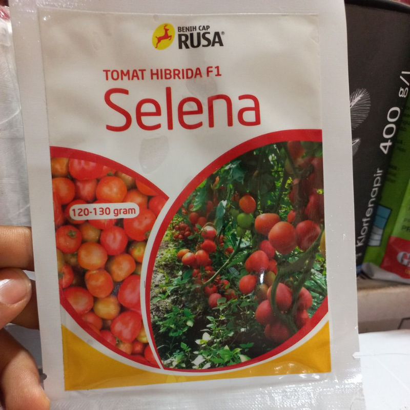 benih tomat selena f1 10 gram