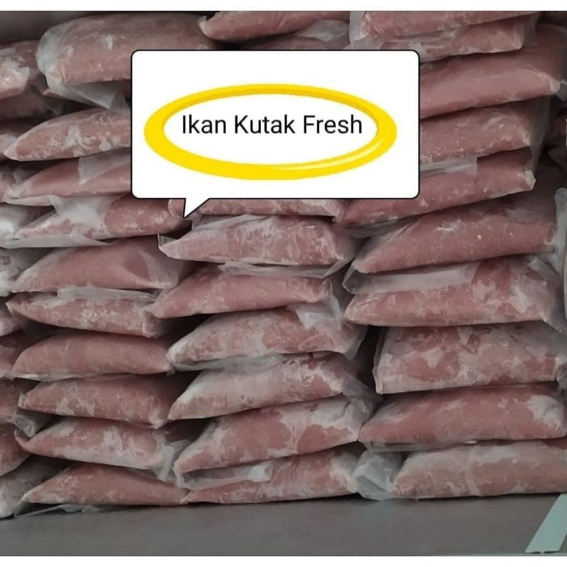 

Ikan putak dusun ikan belida kecil premium Palembang