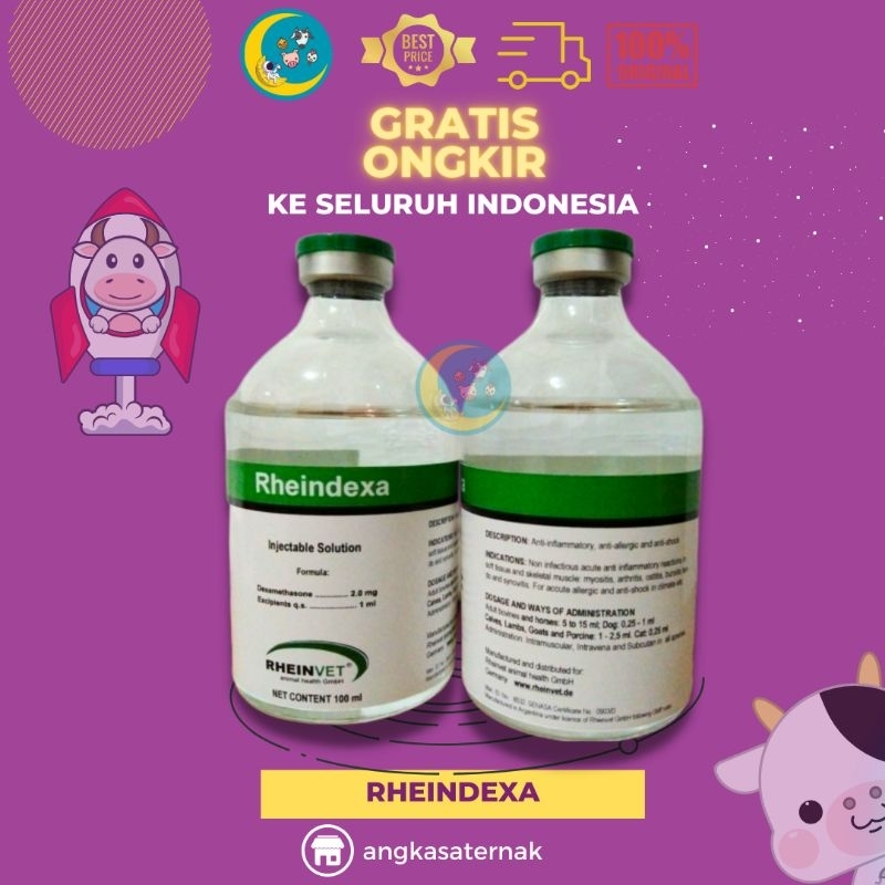 RHEINDEXA (Dexamethasone) @100 ml - Obat Bengkak dan Alergi Hewan | Antiinflamasi