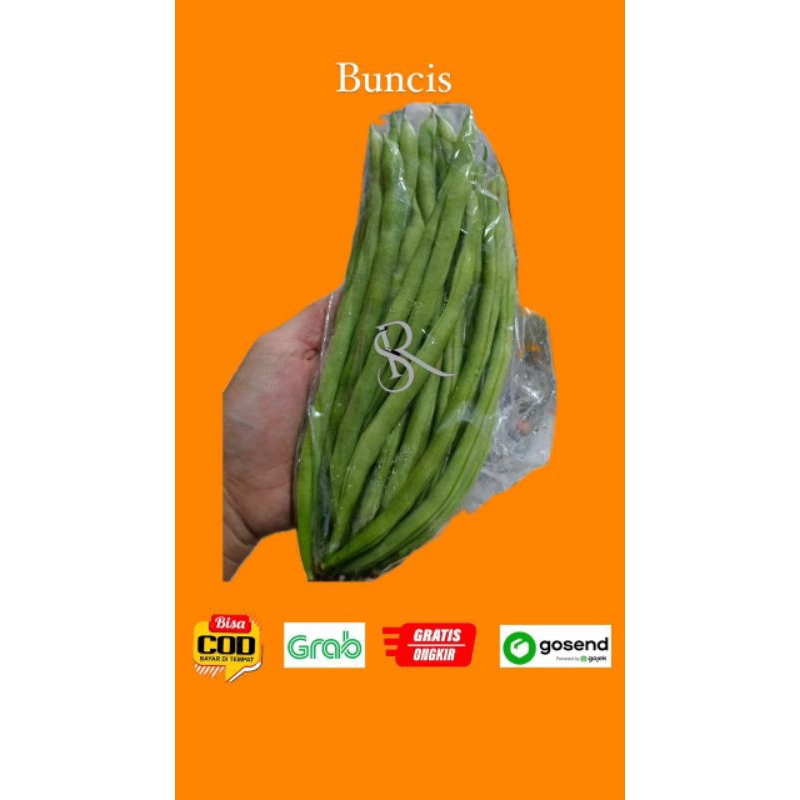 

buncis 5k