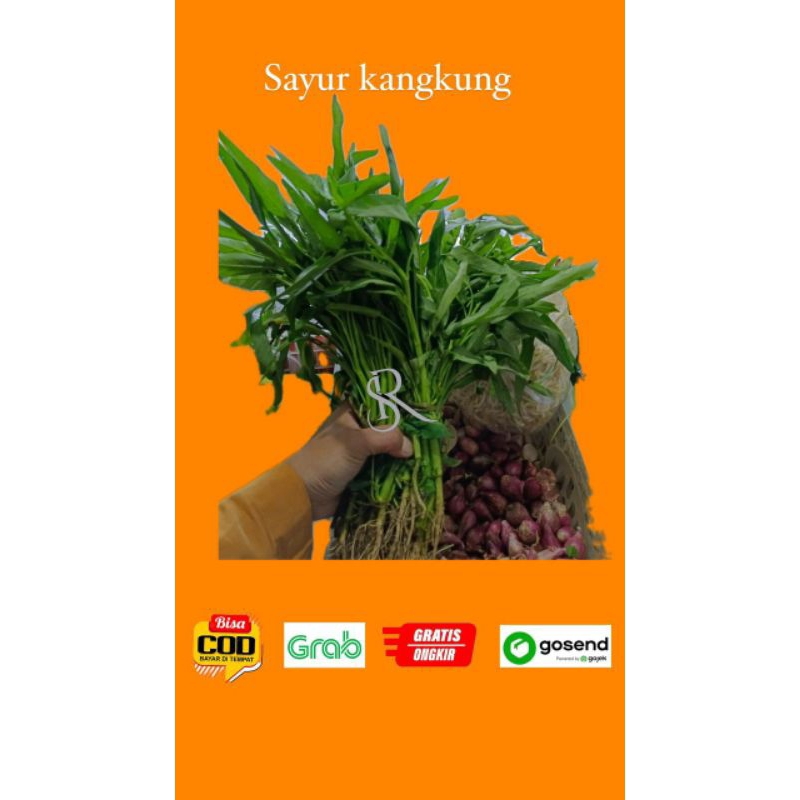 

sayur kangkung