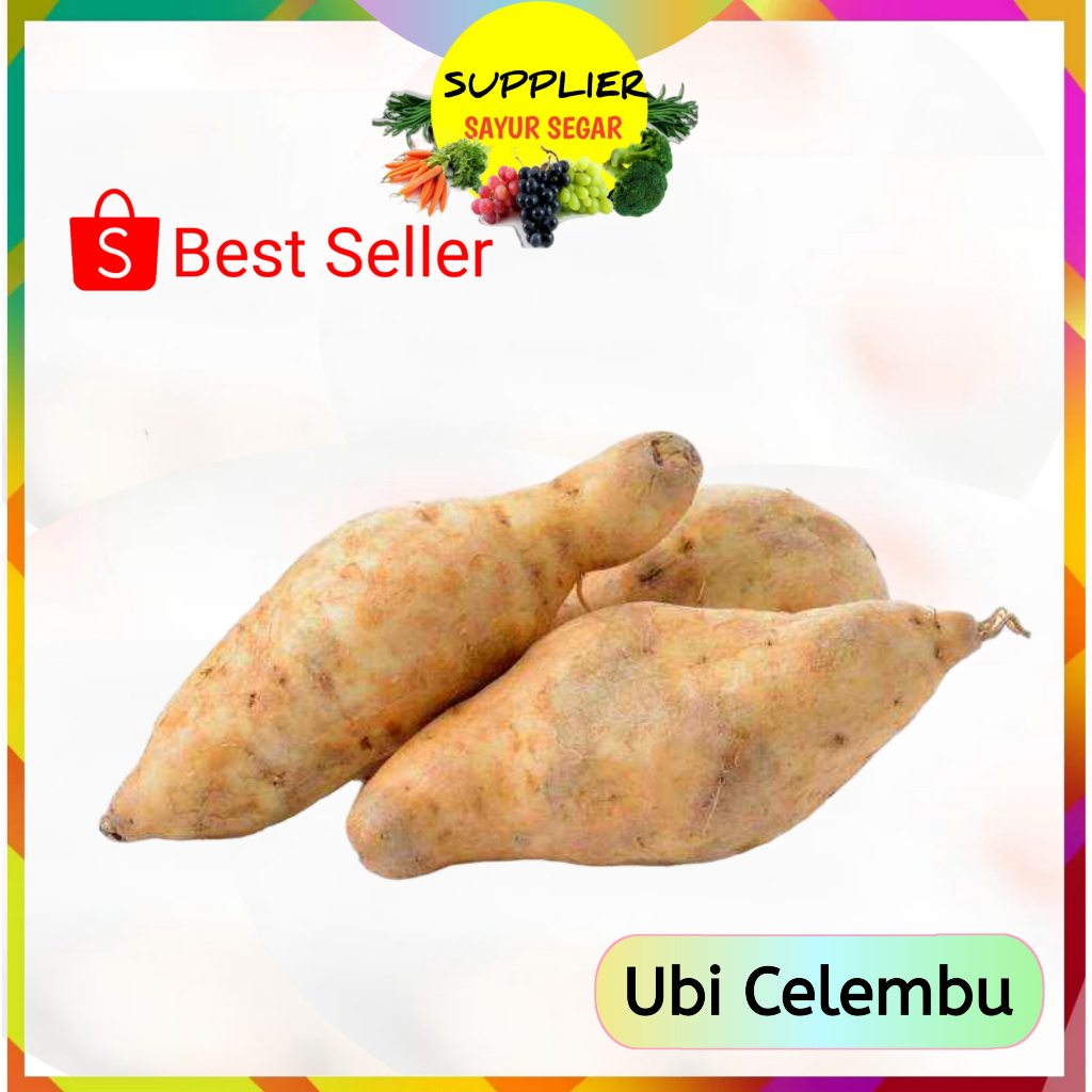 

Ubi Celembu Per Kg - Supplier Sayuran Segar Palembang
