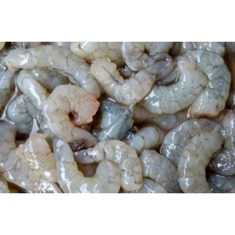 

Udang kupas size 50 per 500gr