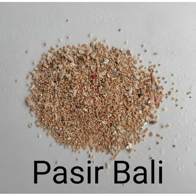 PASIR BALI /1KG