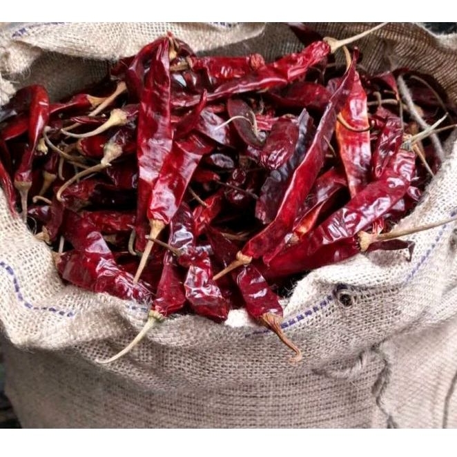 

Cabe Kering Besar Wonder Hot (WH) 250 gr