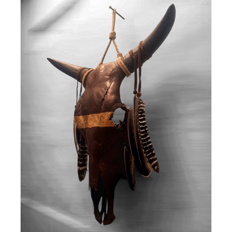 xxxxx Dekorasi Rumah Hiasan Dinding Tengkorak Sapi xxxxx