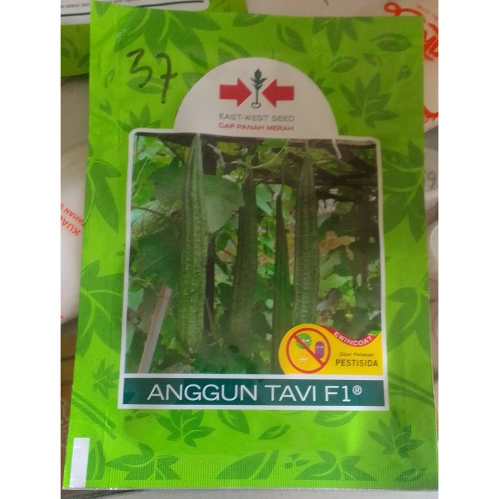 Bibit benih oyong Emes Anggun Tavi F1 Panah Merah 75 Butir