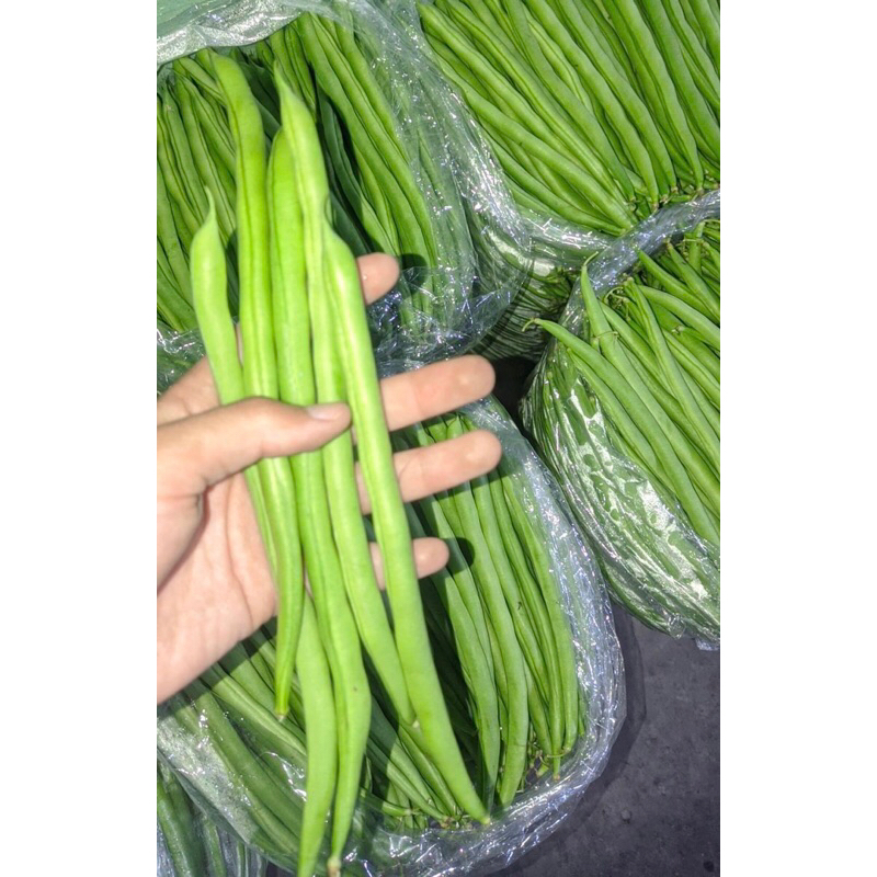 

Kacang Buncis Sayur Segar 1kg