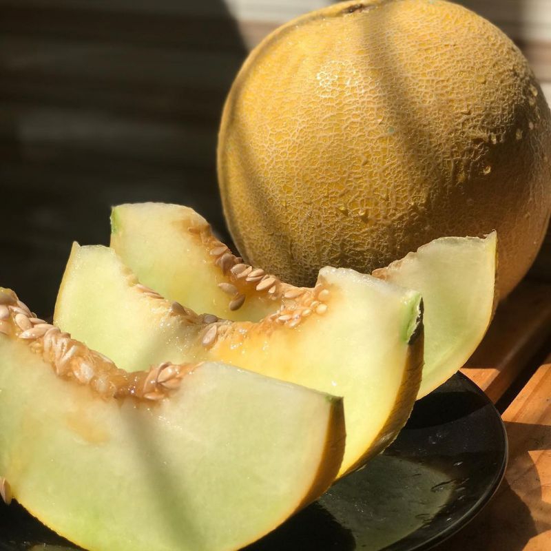 Benih Unggul Melon Madu F1 Super Benih Berkualitas