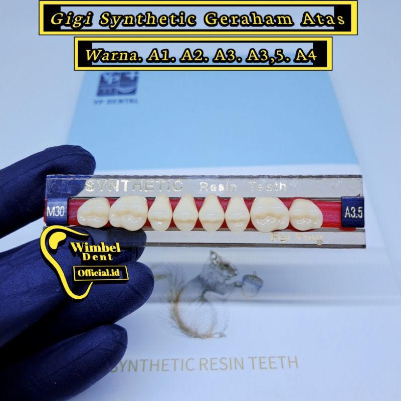 Gigi palsu Synthetic geraham atas