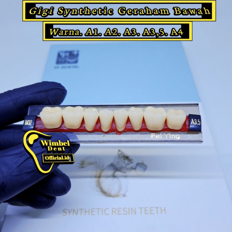 Gigi palsu Synthetic geraham Bawah