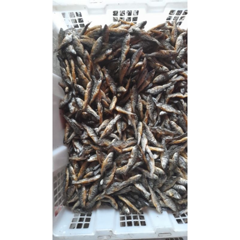 

ikan bilis Medan 1kg