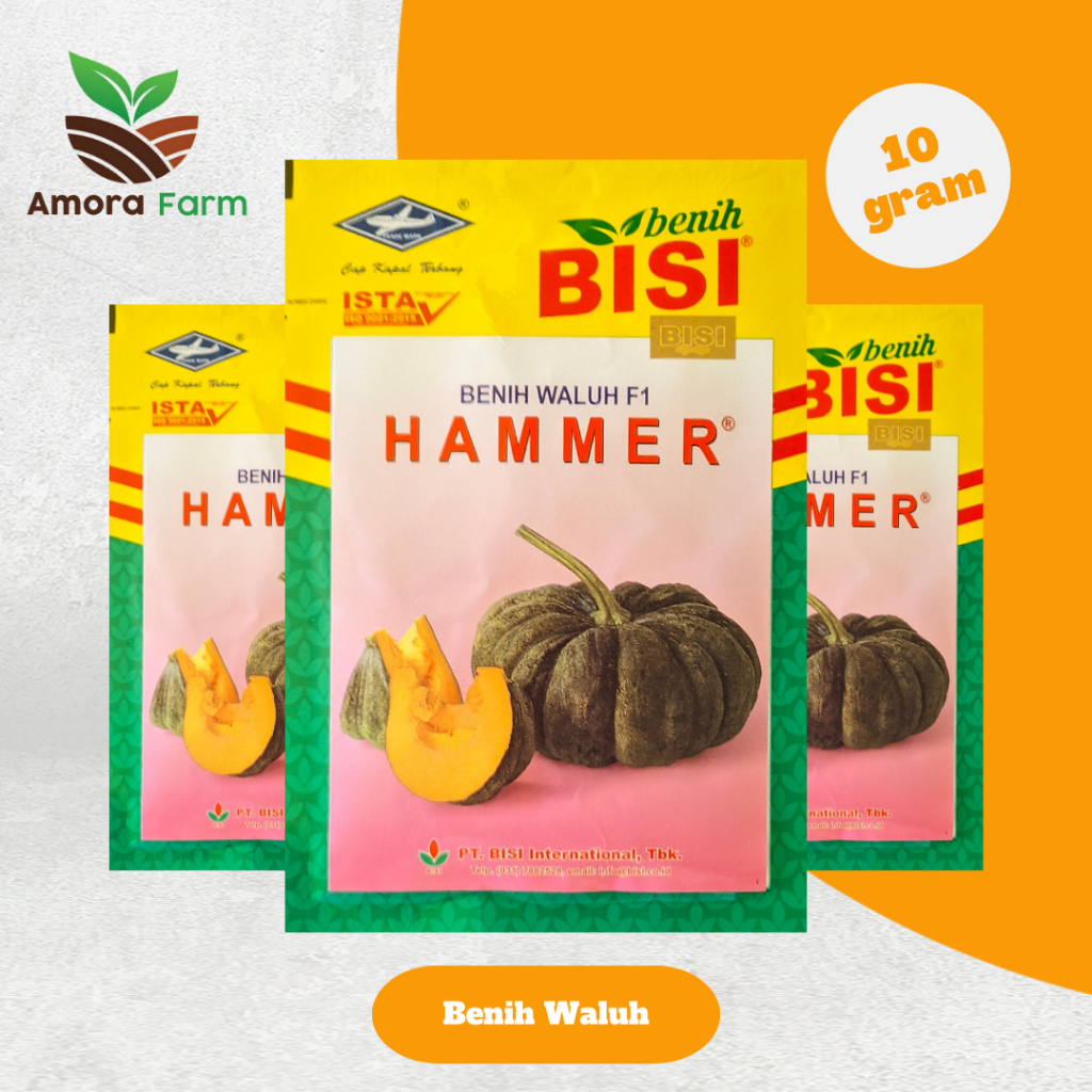 Benih Waluh F1 HAMMER 10gr Cap Kapal Terbang