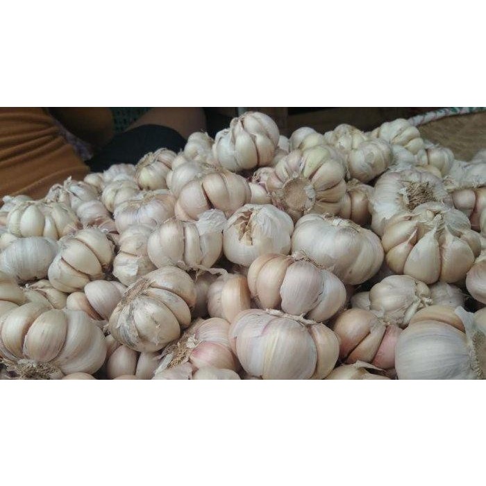 

BAWANG PUTIH BIJI /KG