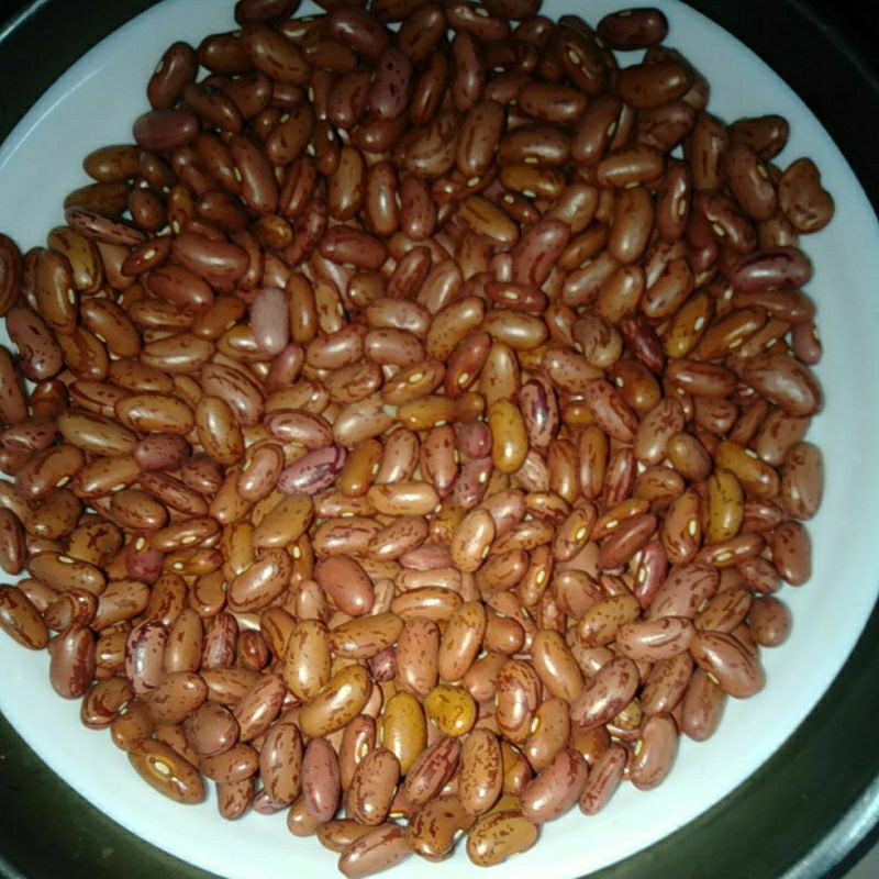 

KACANG MERAH BESAR / RED BEAN / KIDNEY BEAN