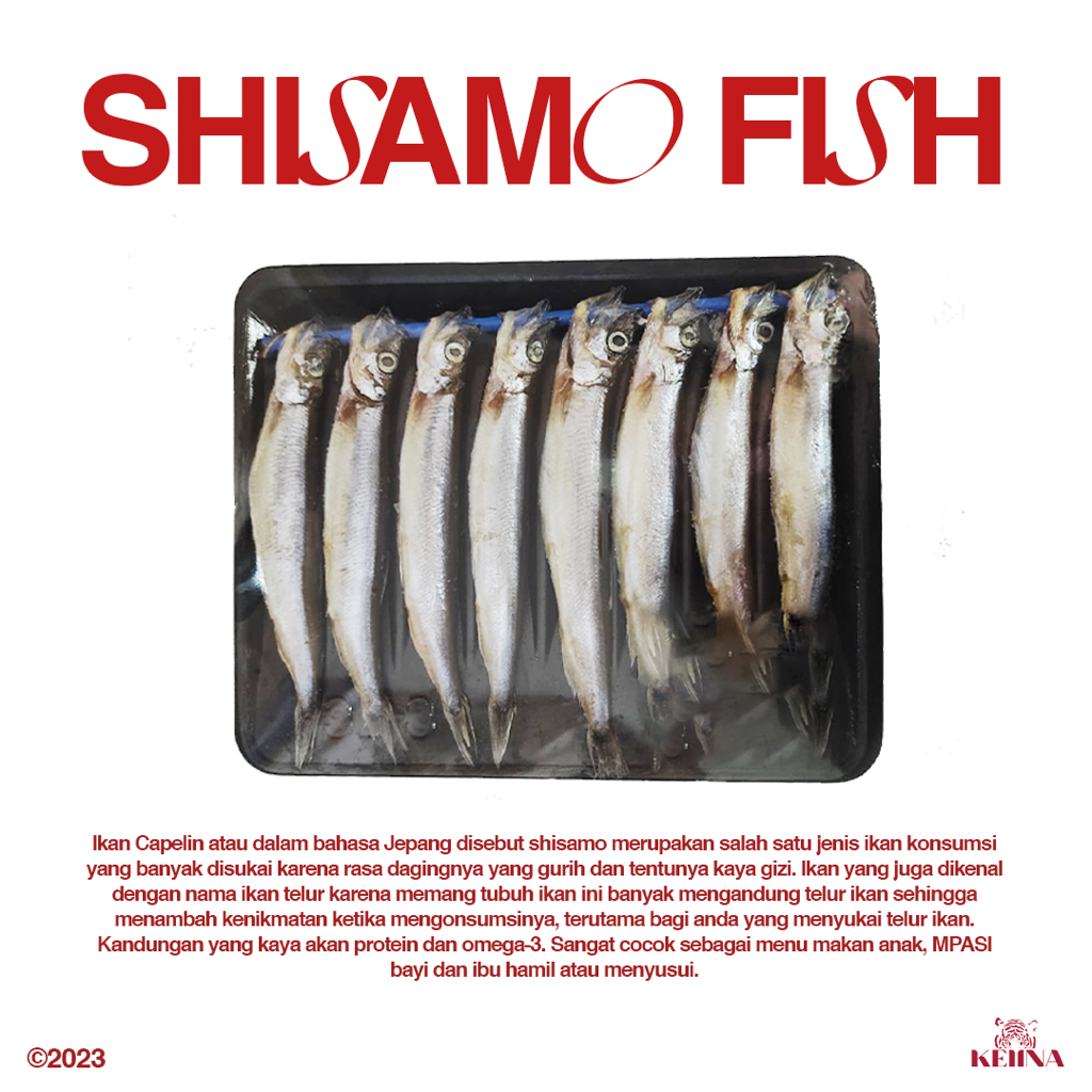 

Ikan Shisamo Fish Capelin Premium Full Telur
