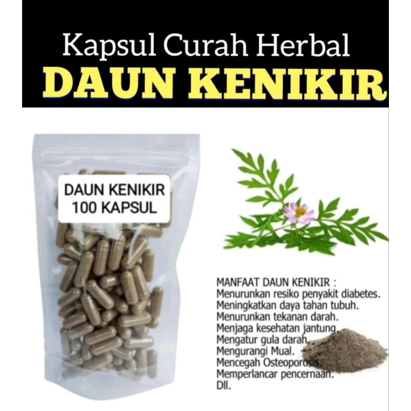 DAUN KENIKIR 100 kapsul Curah Herbal