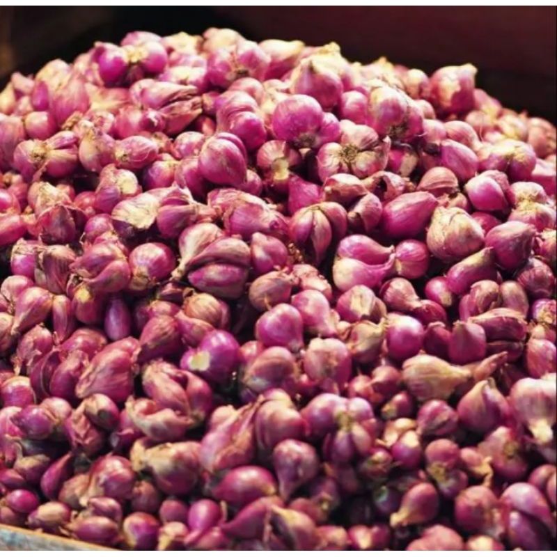 

bawang merah super / 500 gram