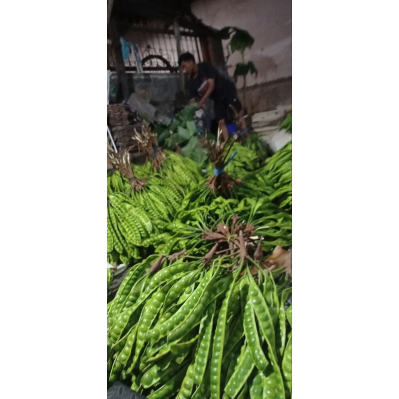 

Pete kupasan,kulit di buang harga 35 ribu per Kg