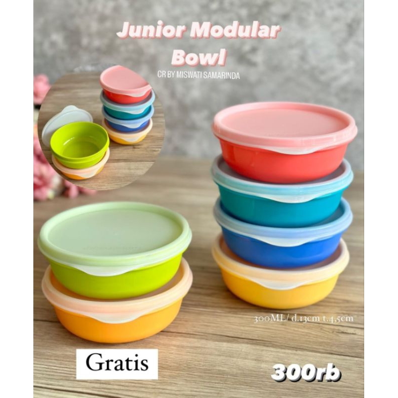 junior modular bowl tupperware