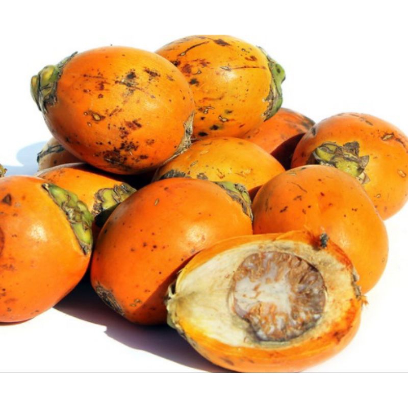 

[TERLARIS] PINANG KUNING TUA 1KG