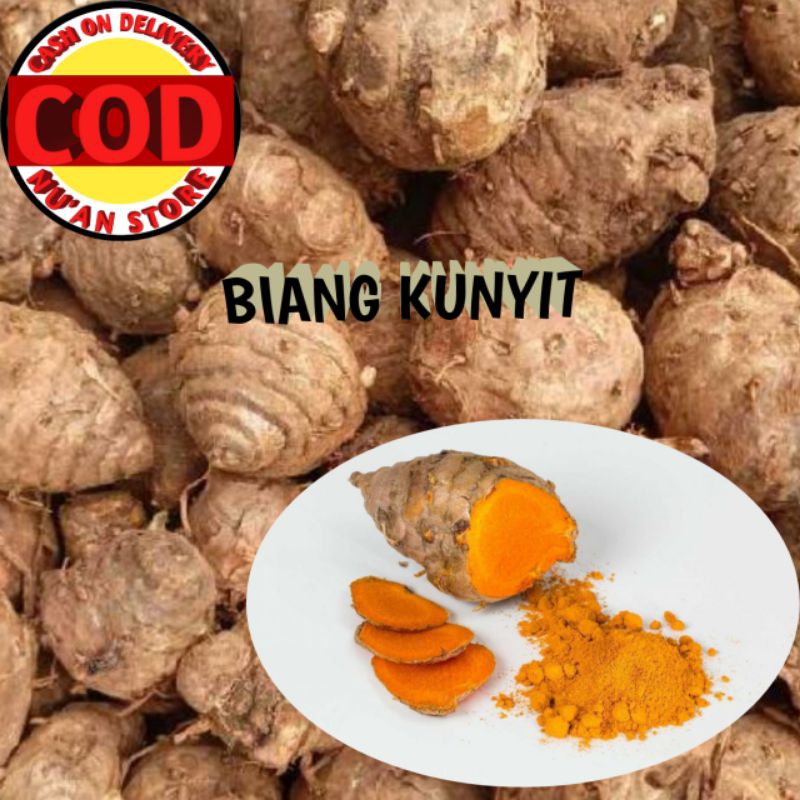 

BIANG KUNYIT Kemasan 1kg