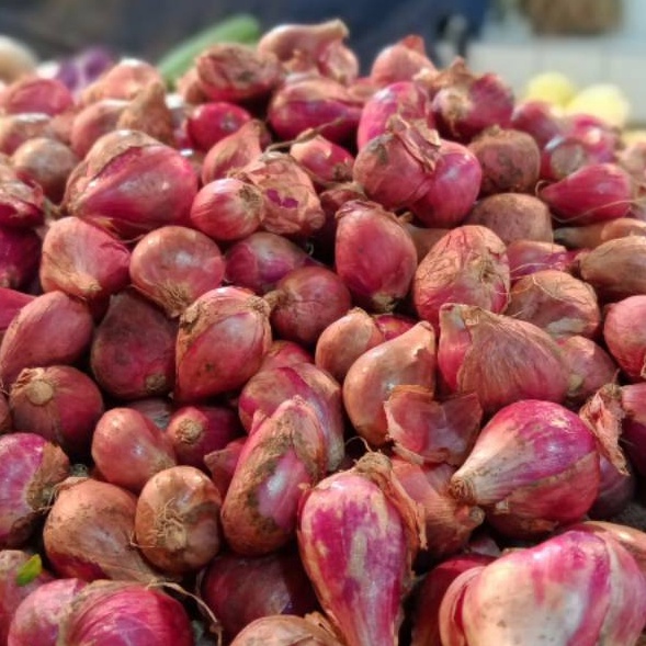 

FQCN637 DISKON Bawang merah 25 gram