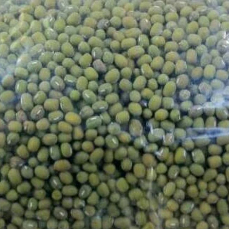 

QNRX7257 Terlaris kacang ijo bubur 1 kg